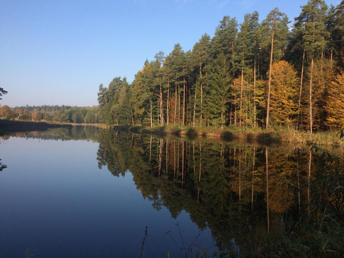 Na Skraju Puszczy Vila Hajnówka Exterior foto