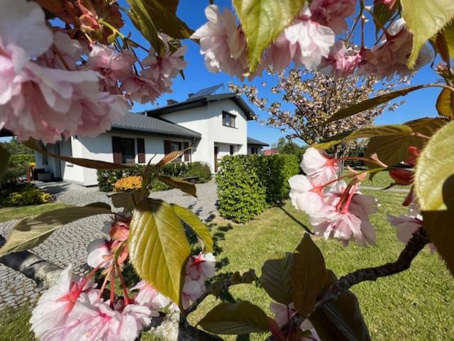 Na Skraju Puszczy Vila Hajnówka Exterior foto
