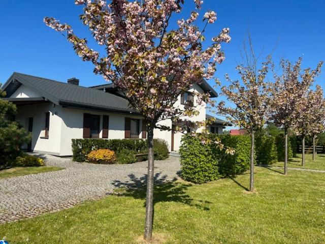 Na Skraju Puszczy Vila Hajnówka Exterior foto