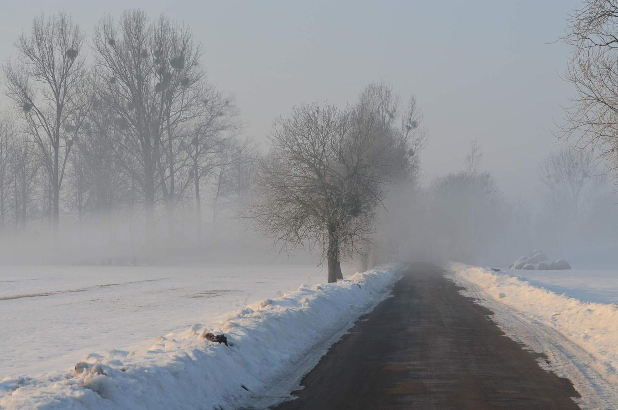 Na Skraju Puszczy Vila Hajnówka Exterior foto